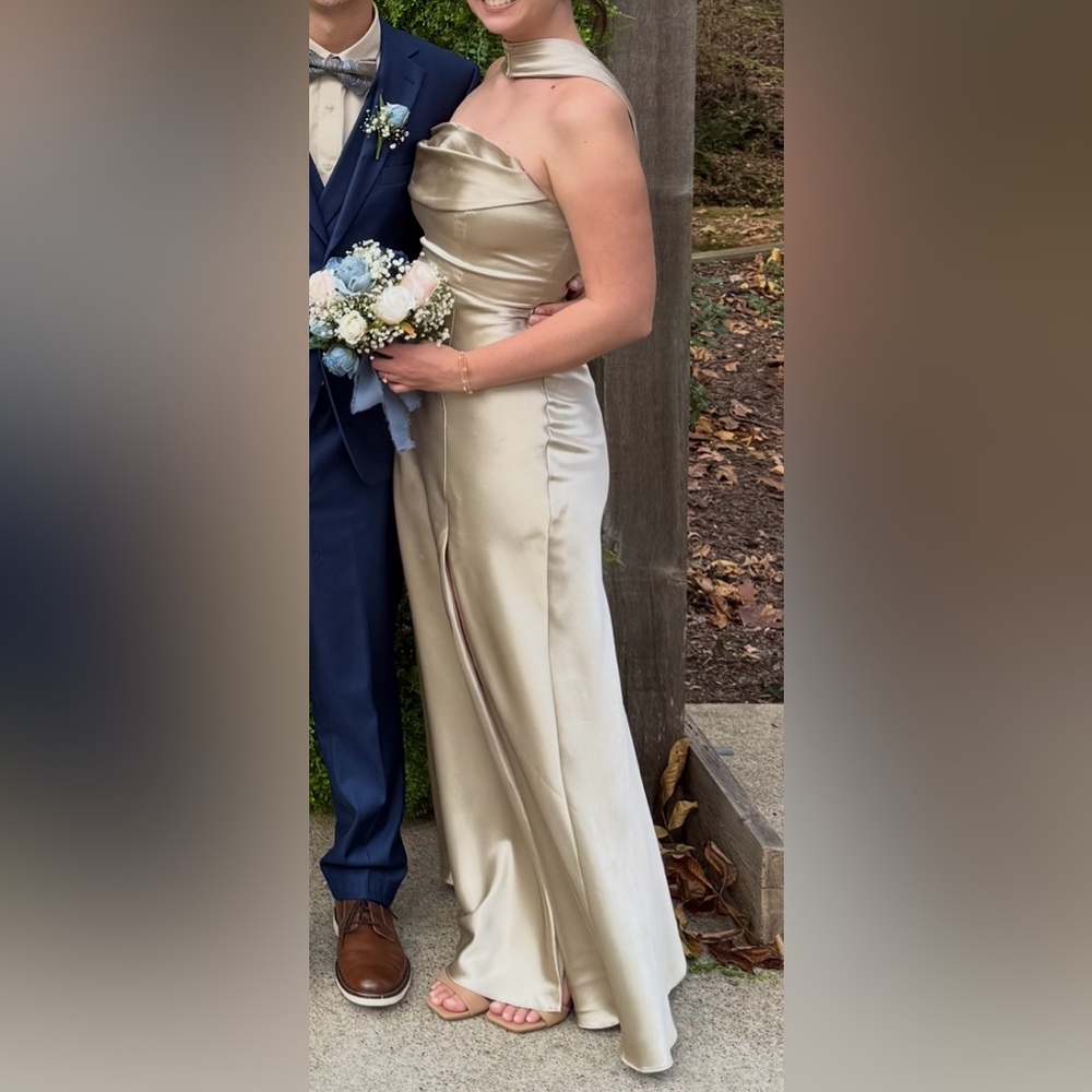 Birdy grey satin neutral champagne Mia dress